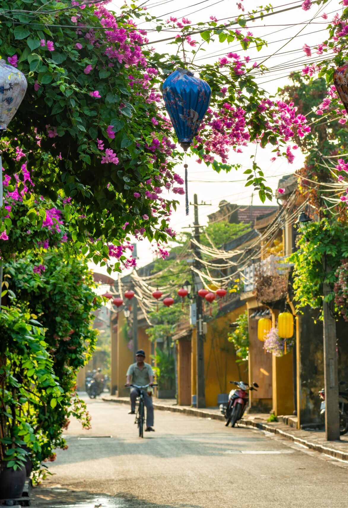 Le Loi Street in Hoi An Ancient Town
